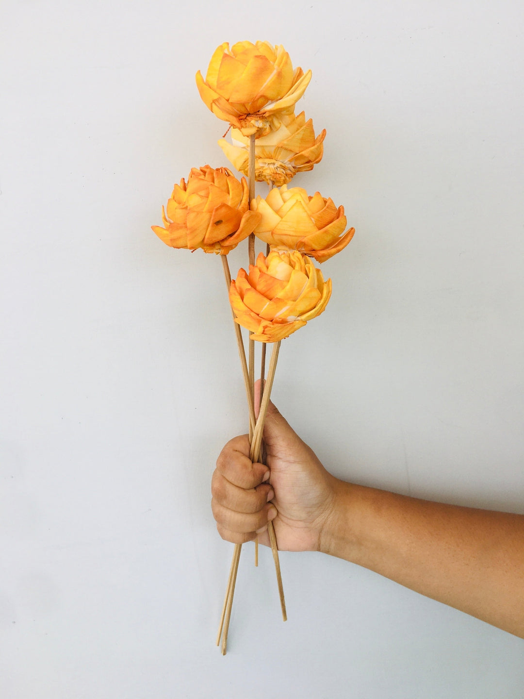 Ombre Sola Flower | 5pcs