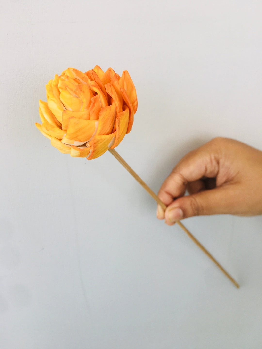 Ombre Sola Flower | 5pcs