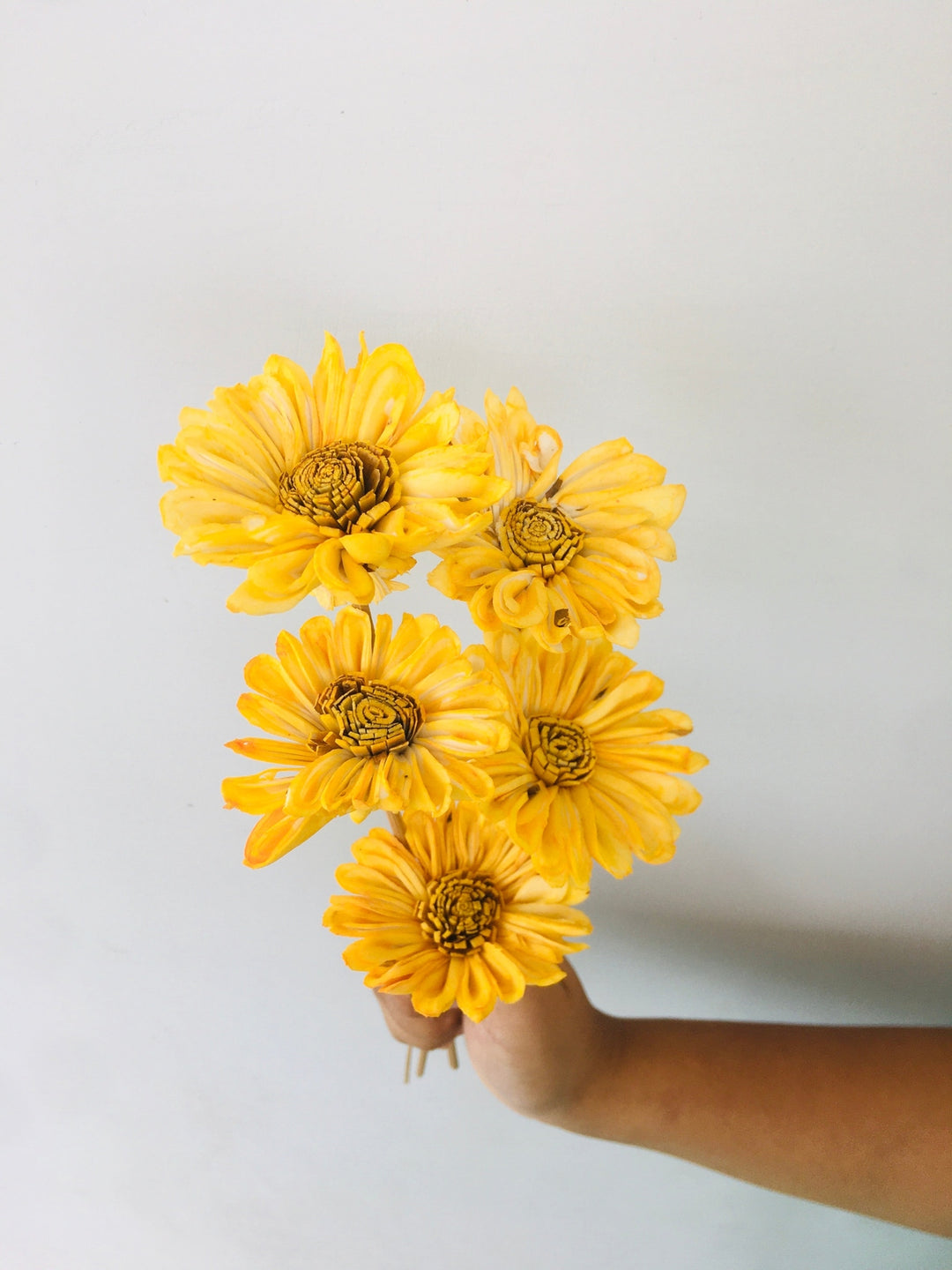 Sunflower Sola Flower | 5pcs Vanchai