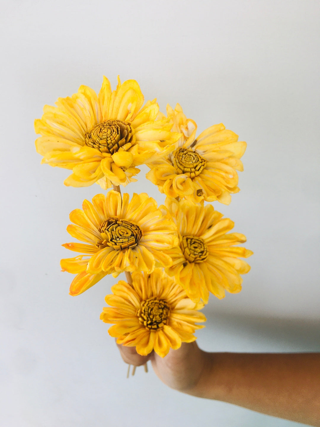 Sunflower Sola Flower | 5pcs