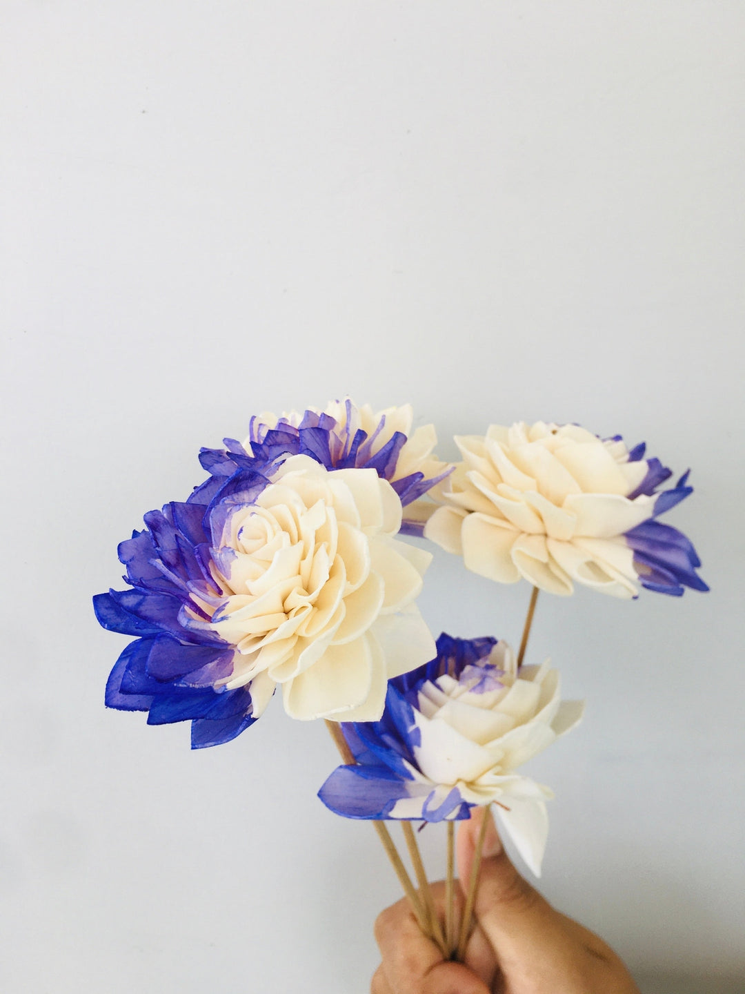 Purple Dahlia Sola Flower | 5pcs Vanchai