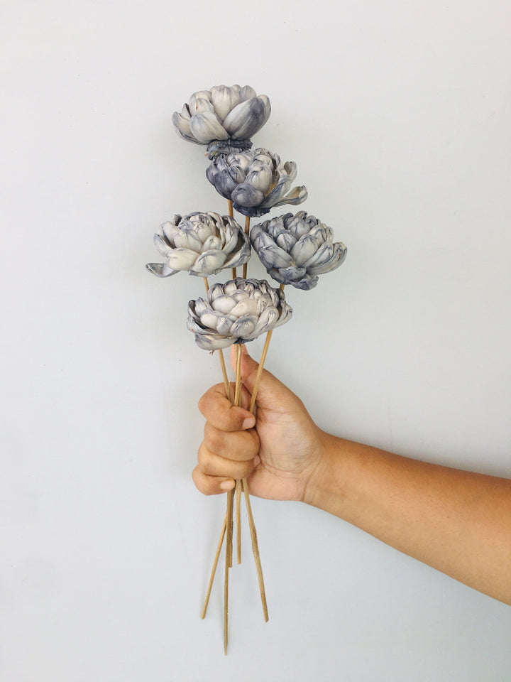 Chambray Sola Flower | 5pcs Vanchai