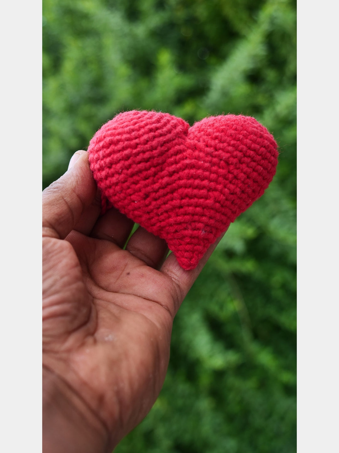 Heart Red Set of 2 Himalayan Blooms India