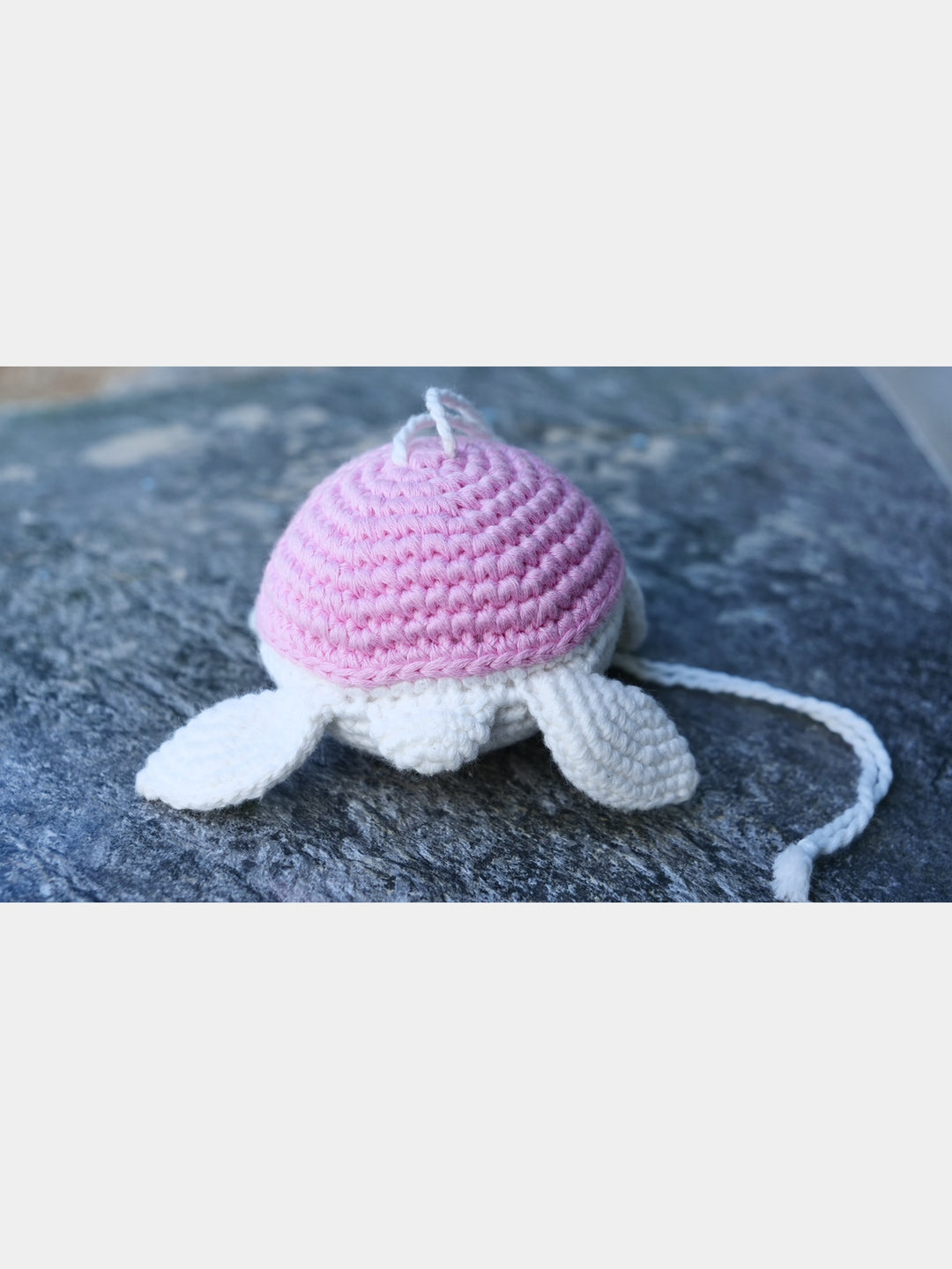 Turtle Pink White Black