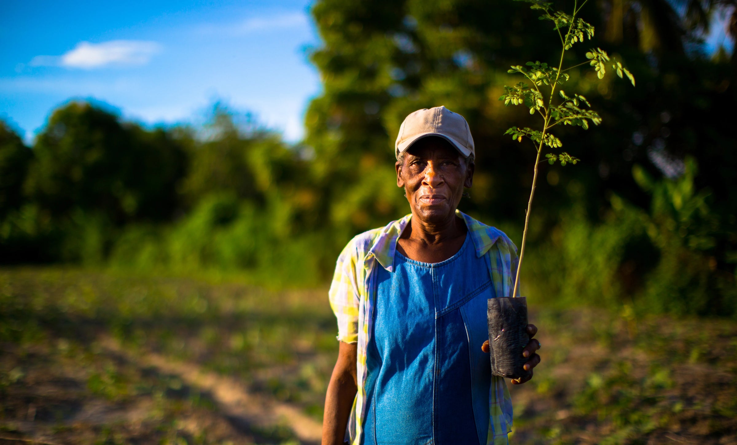 One Tree Planted | Co Create CHange | FLourish