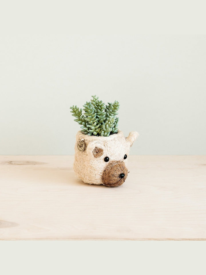 Home DecorBear Planter - Animal Head Planters | LIKHÂLIKHÂ