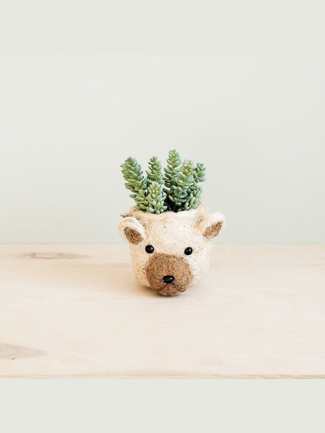 Home DecorBear Planter - Animal Head Planters | LIKHÂLIKHÂ