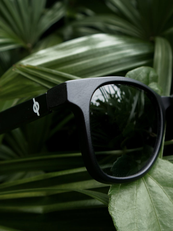 Personal AccessoriesBlack Wayfarers Black LensWithout®Flourish Planet
