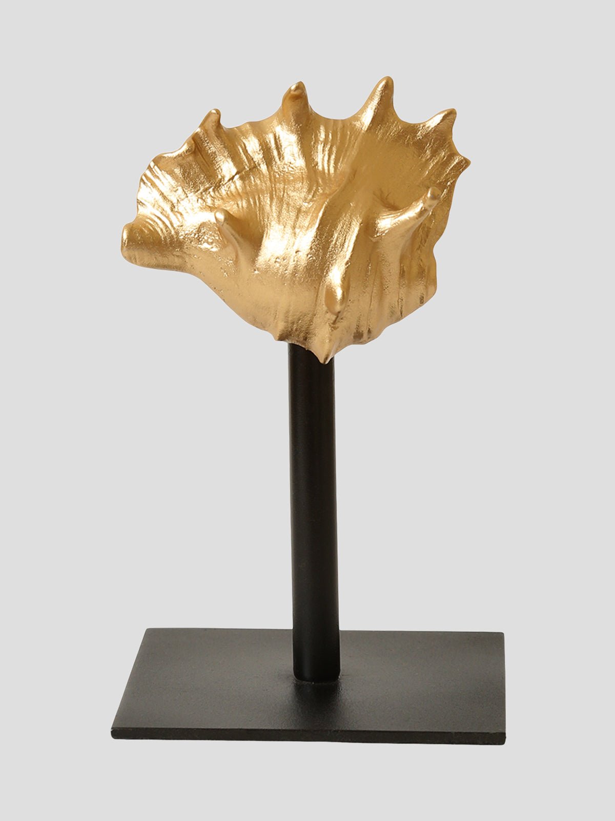 Clamp Shell | Flourish Planet