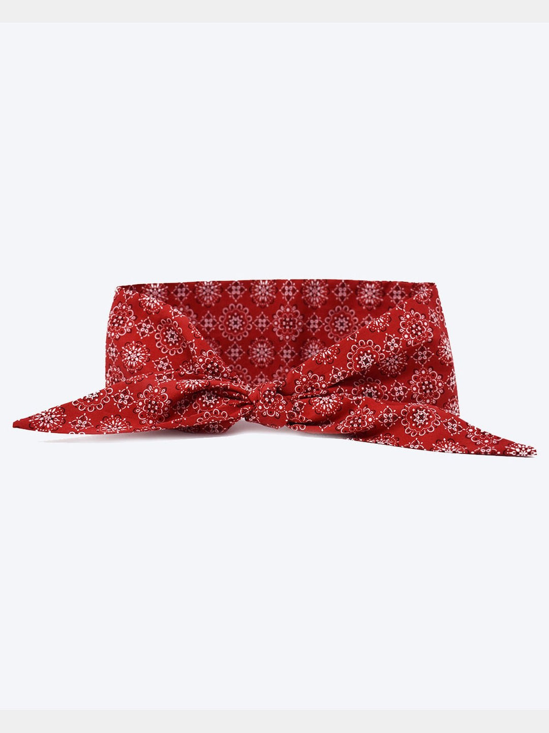 PetsCLASSIC NECKTIEMODERNBEAST