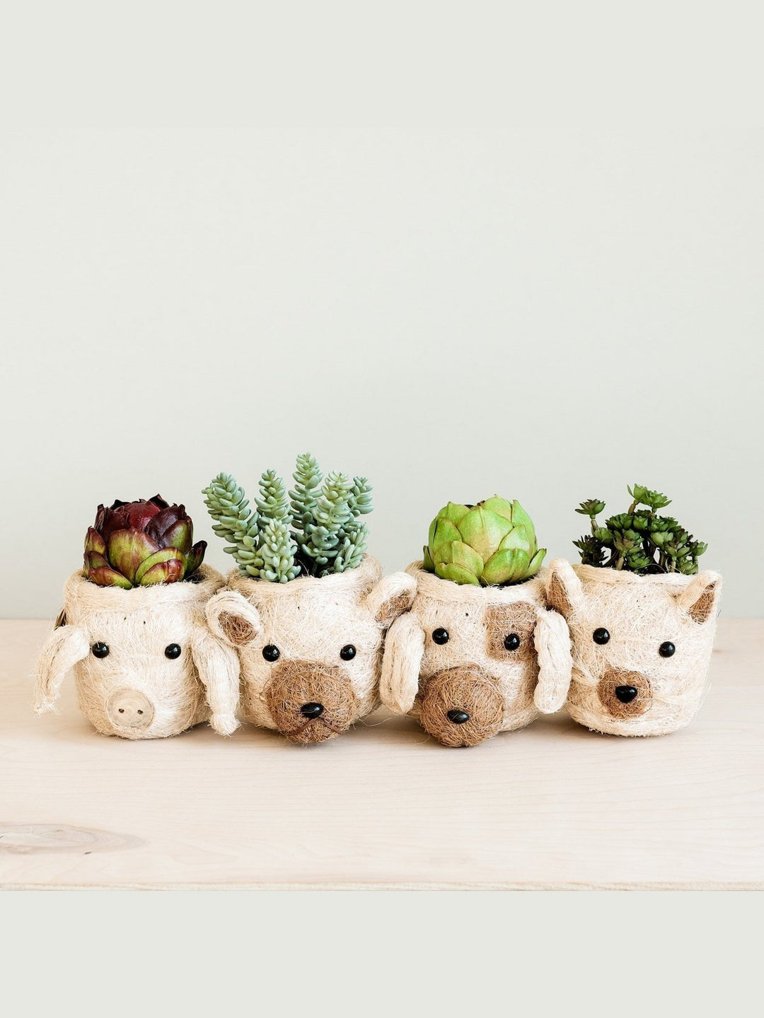 Home DecorDog Succulent Planter - Animal Head Plant Pot | LIKHÂLIKHÂ