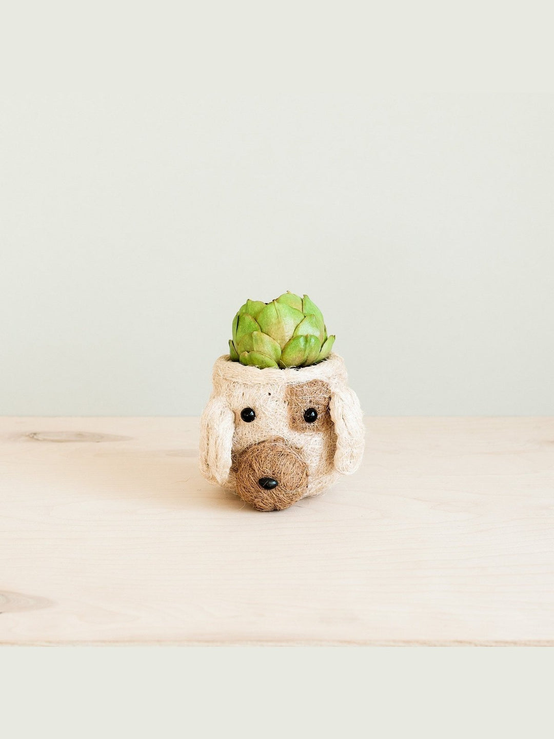 Home DecorDog Succulent Planter - Animal Head Plant Pot | LIKHÂLIKHÂ