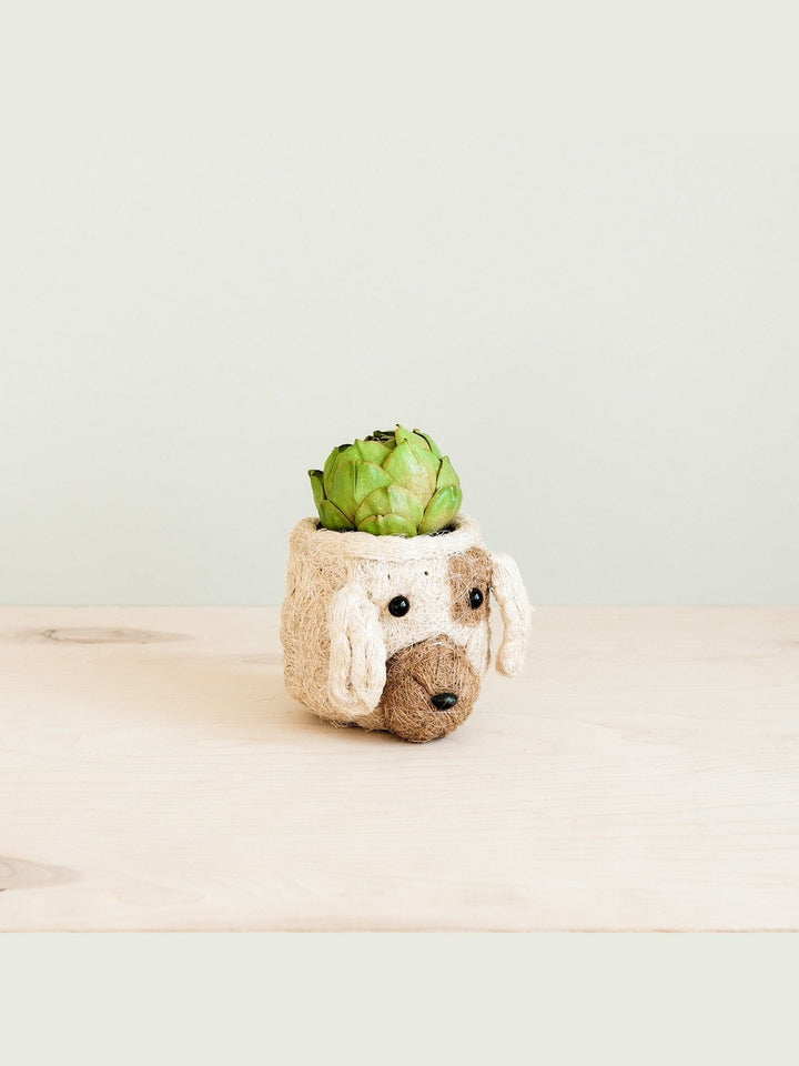 Home DecorDog Succulent Planter - Animal Head Plant Pot | LIKHÂLIKHÂ