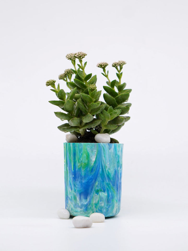 Home DecorECO-POTS Planter AquamarineMinus Degre