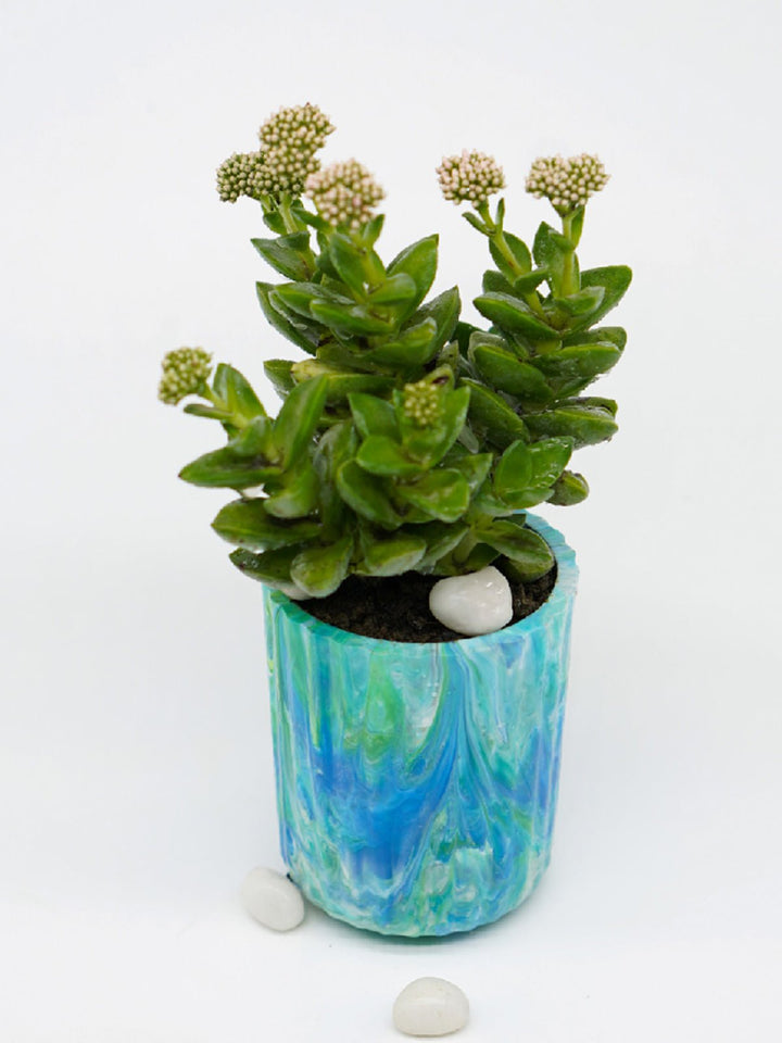 Home DecorECO-POTS Planter AquamarineMinus Degre