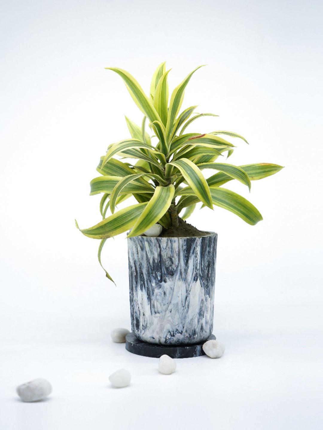 Home DecorECO-POTS Planter CharcoalMinus Degre