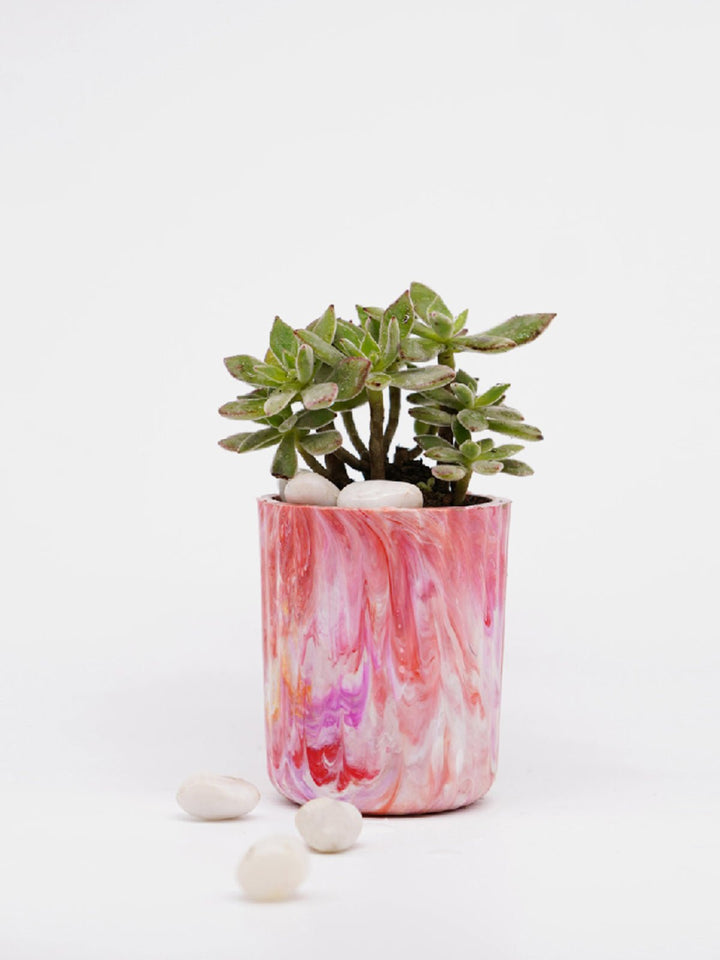 Home DecorECO-POTS Planter CoralMinus Degre