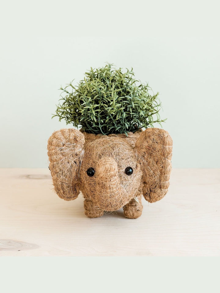 Home DecorElephant Plant Pot - Handmade Planter | LIKHÂLIKHÂ