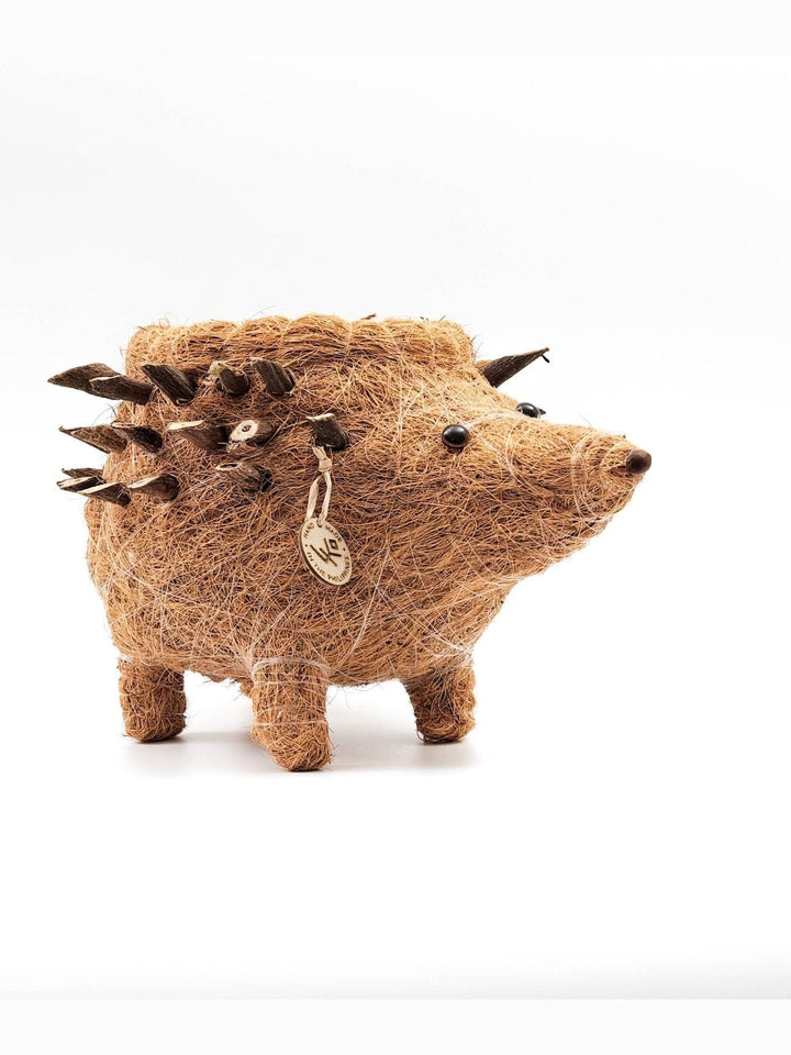 Home DecorHedgehog Planter - Coco Planter| LIKHÂLIKHÂ