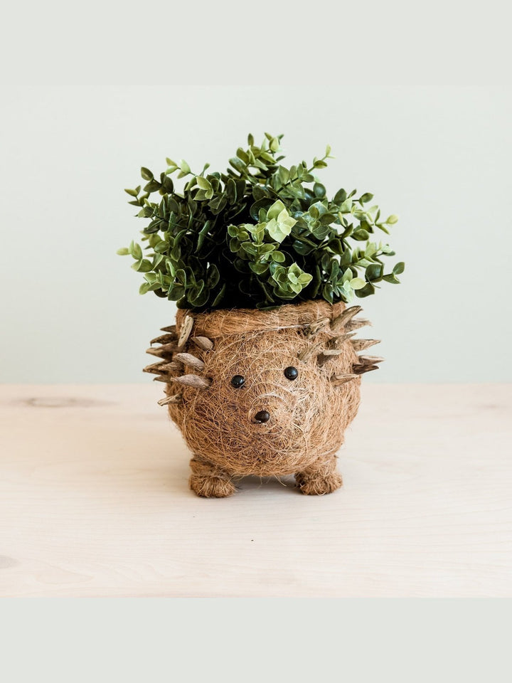 Home DecorHedgehog Planter - Coco Planter| LIKHÂLIKHÂ