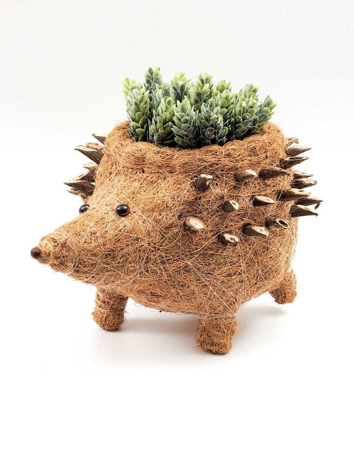 Home DecorHedgehog Planter - Coco Planter| LIKHÂLIKHÂ