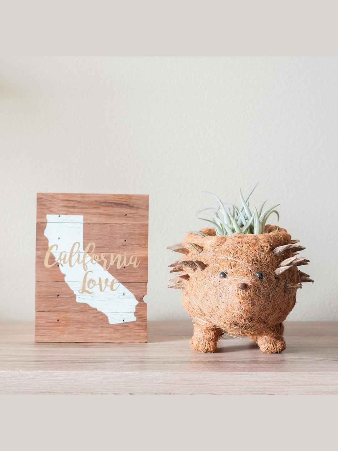 Home DecorHedgehog Planter - Coco Planter| LIKHÂLIKHÂ