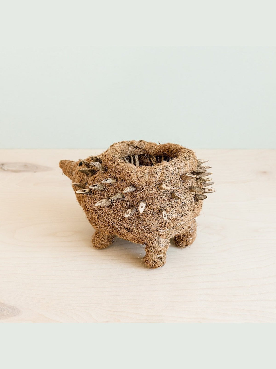 Home DecorHedgehog Planter - Coco Planter| LIKHÂLIKHÂ