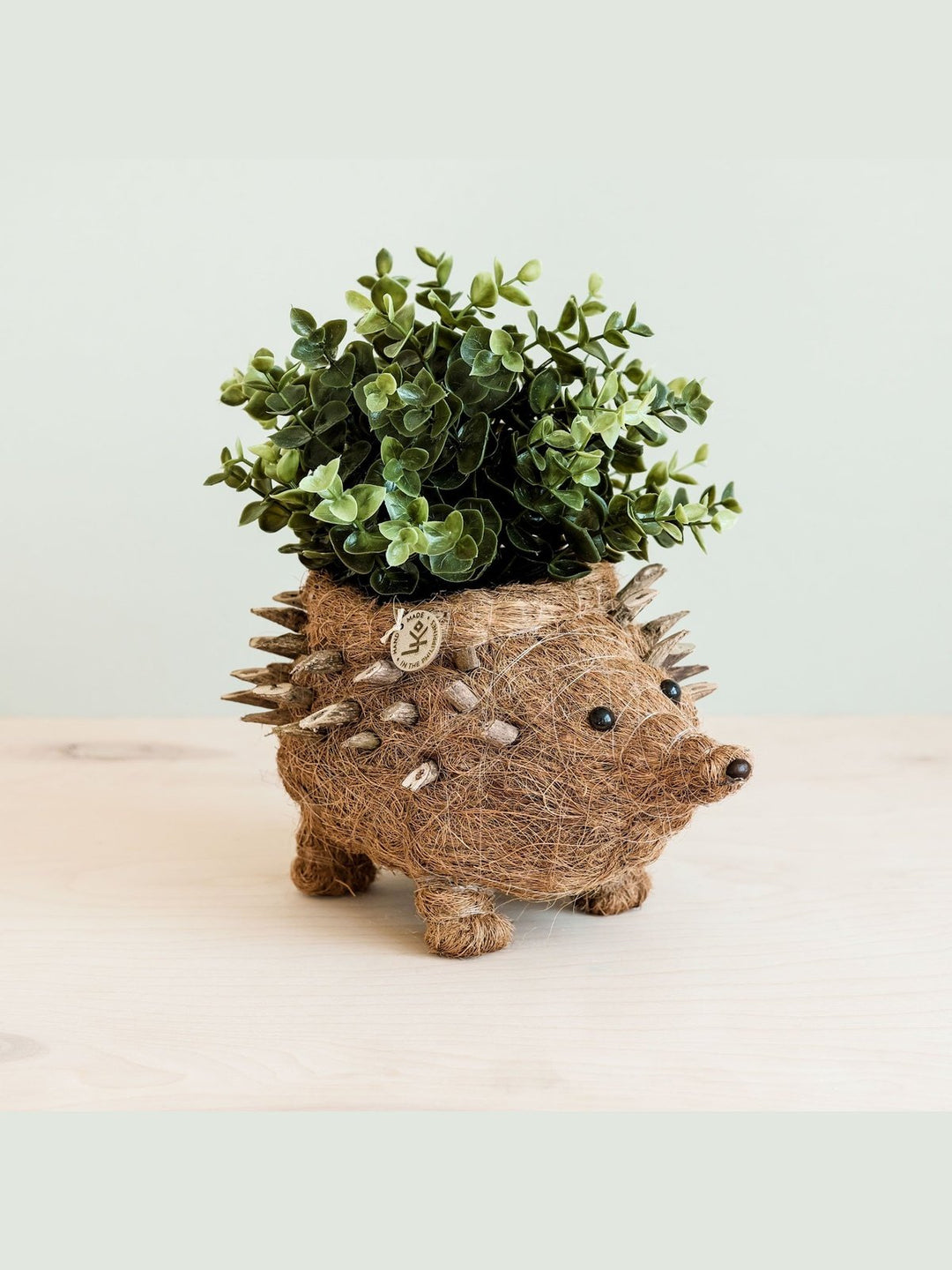 Home DecorHedgehog Planter - Coco Planter| LIKHÂLIKHÂ