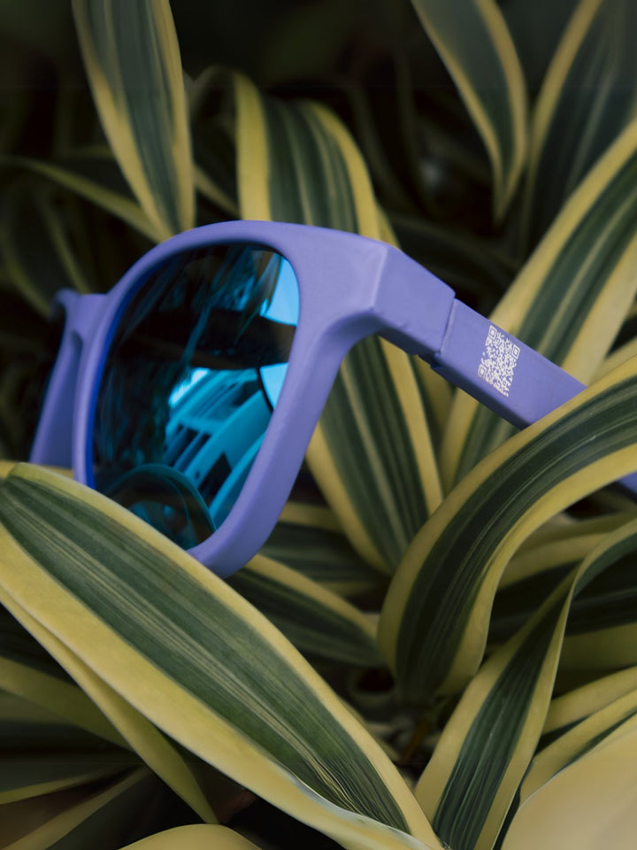 Personal AccessoriesLavender Wayfarers Blue LensWithout®Flourish Planet
