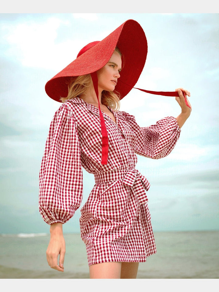 DressesMEGHAN Mini Gingham Dress, in RedBrunnaCo