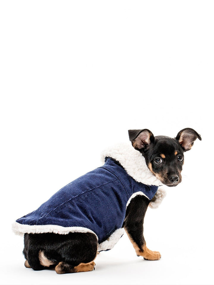 PetsMODERN CLASSIC COATMODERNBEAST