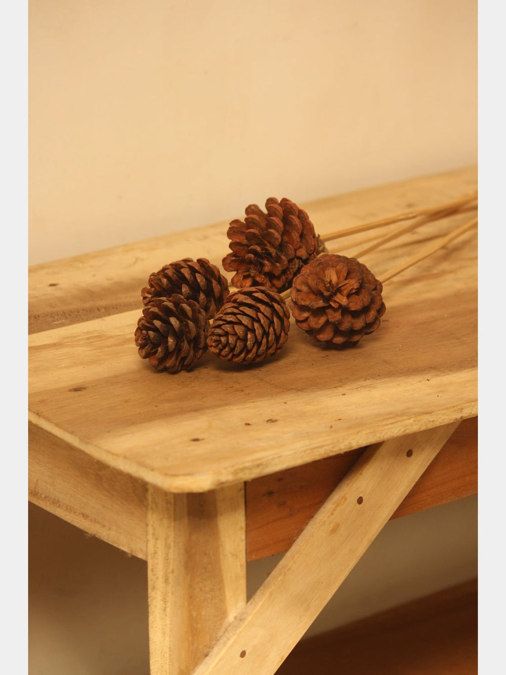 Home DecorNatural Pine 21 | Set of 6VanchaiFlourish Planet