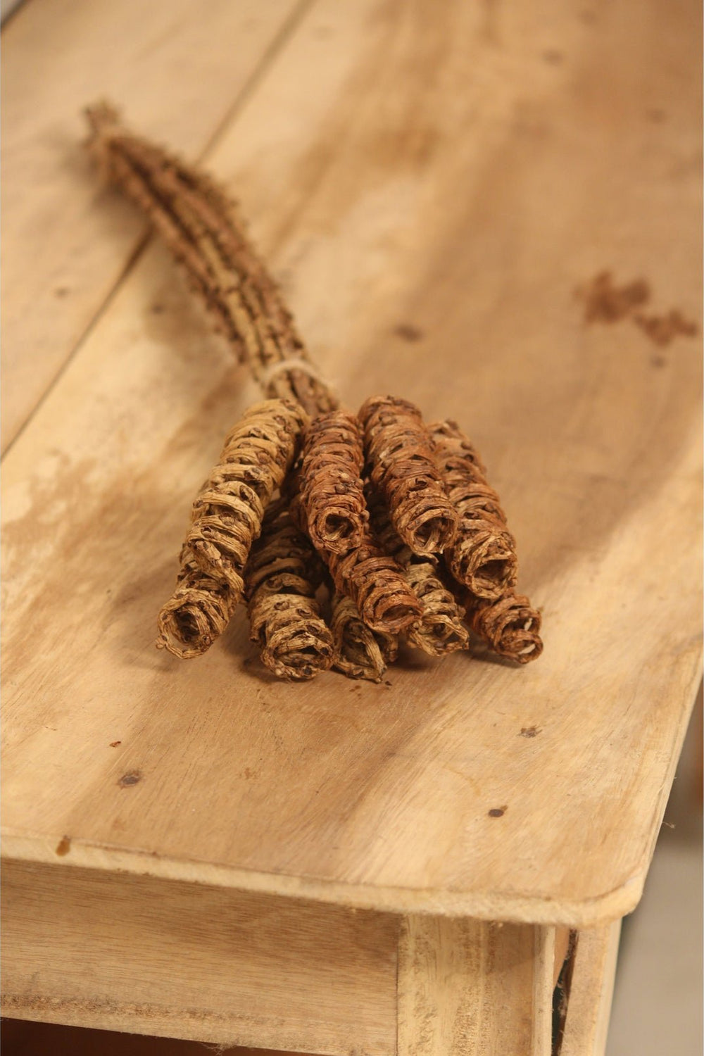 Home DecorNatural Tail Cylinder | Set of 5VanchaiFlourish Planet