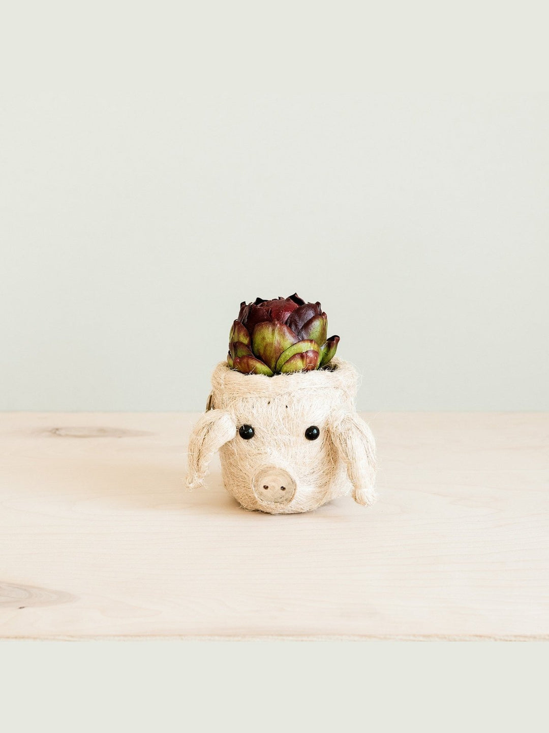 Home DecorPig Plant Pot - Animal Head Plant Pot | LIKHÂLIKHÂ