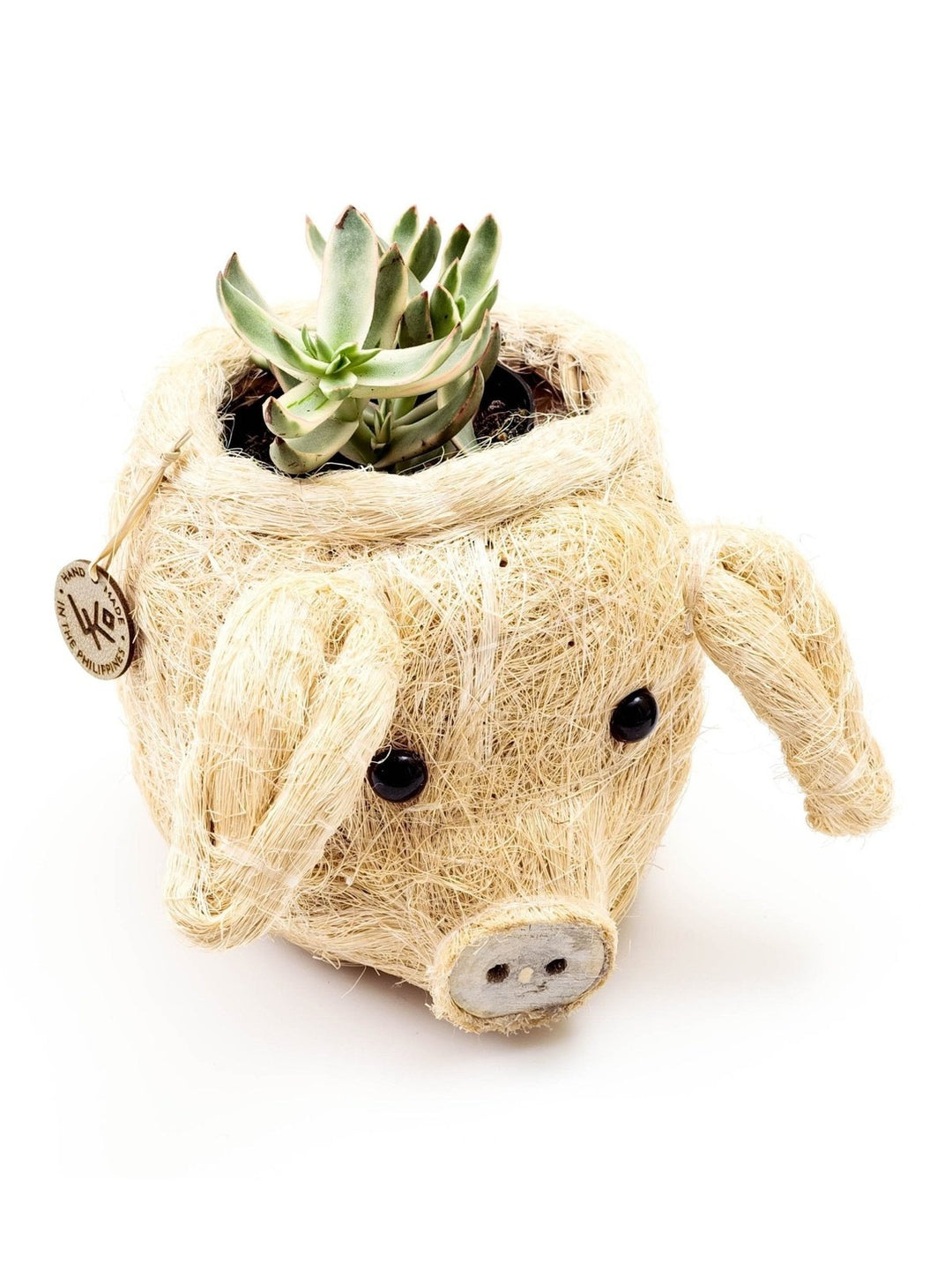 Home DecorPig Plant Pot - Animal Head Plant Pot | LIKHÂLIKHÂ