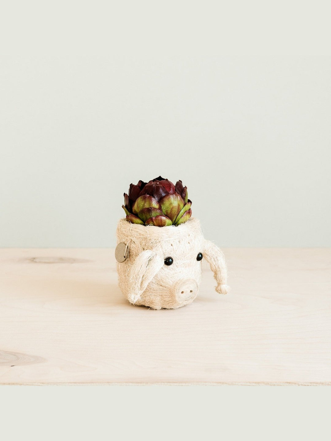 Home DecorPig Plant Pot - Animal Head Plant Pot | LIKHÂLIKHÂ