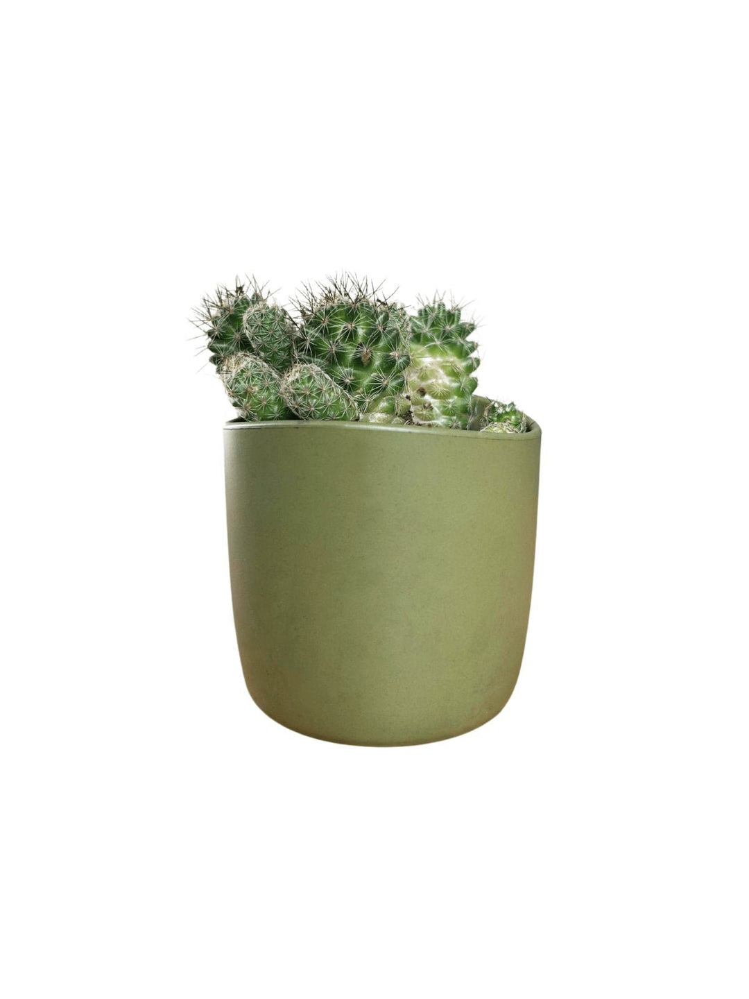 Home DecorPlanter Pot NaturalWithout®Flourish Planet