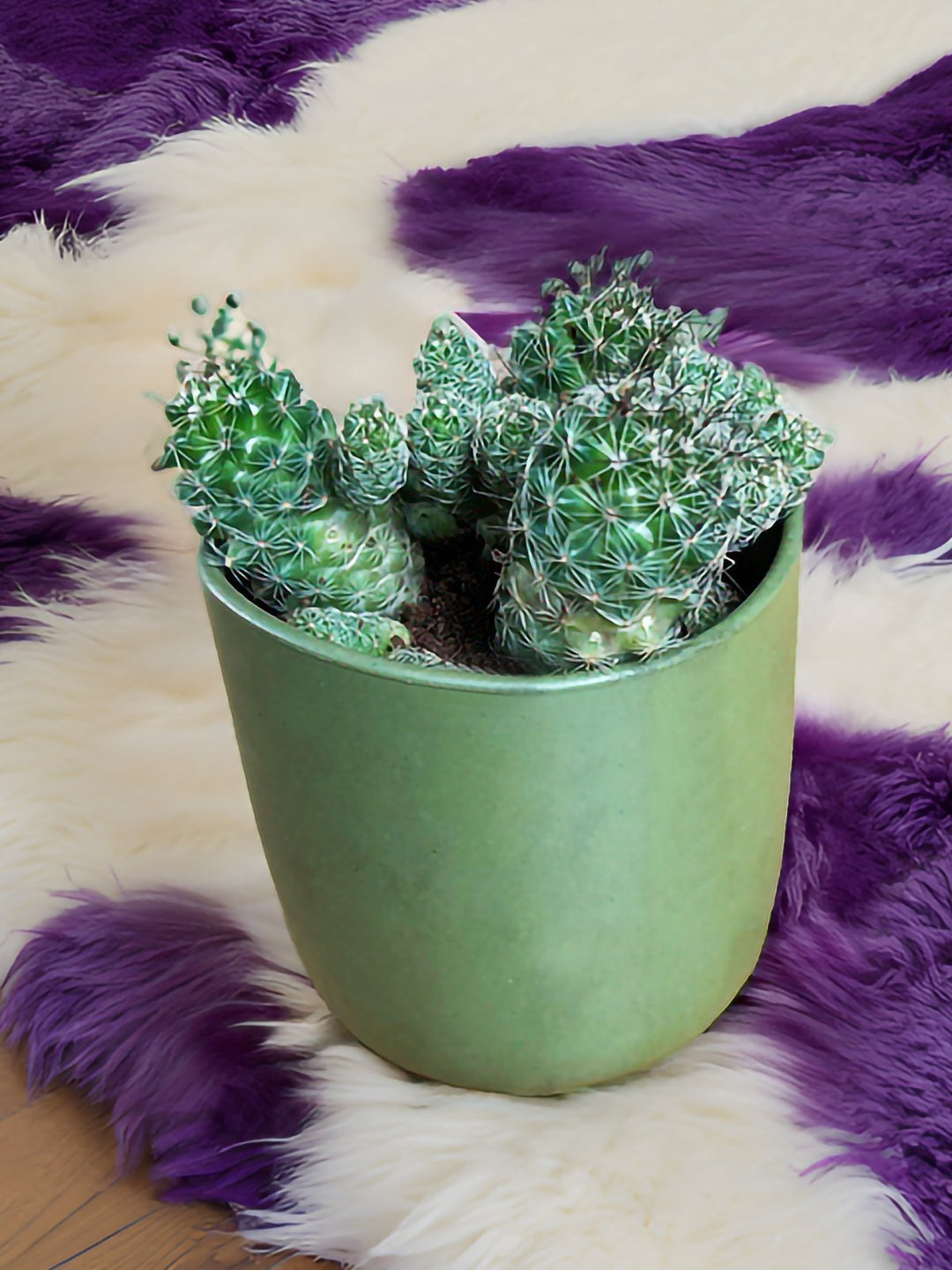 Home DecorPlanter Pot NaturalWithout®Flourish Planet