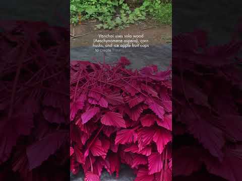 Bunch Rustic Wheat Sheaves |25 Stems