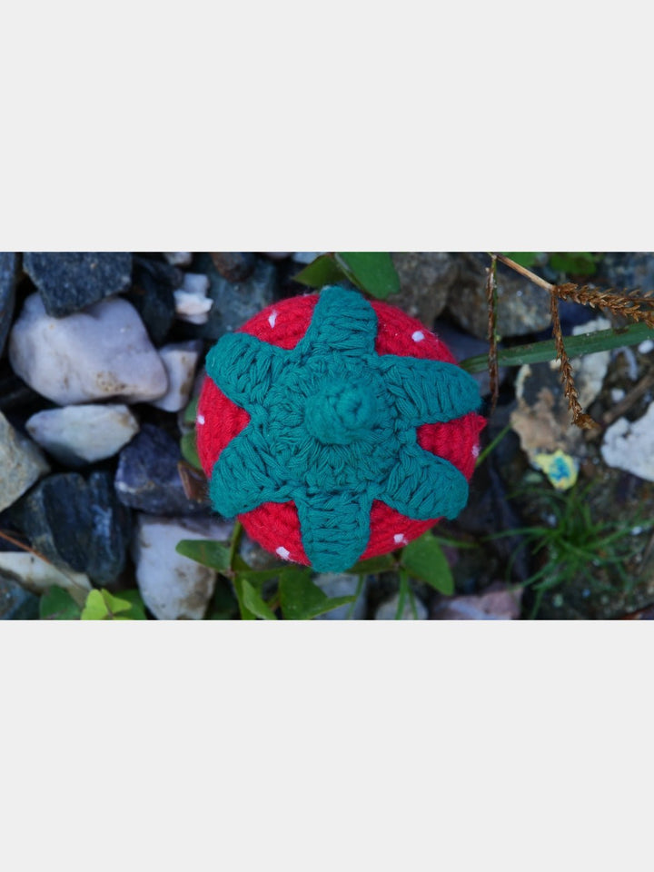 Toys & GamesStrawberry Red Green WhiteHimalayan Blooms IndiaFlourish Planet