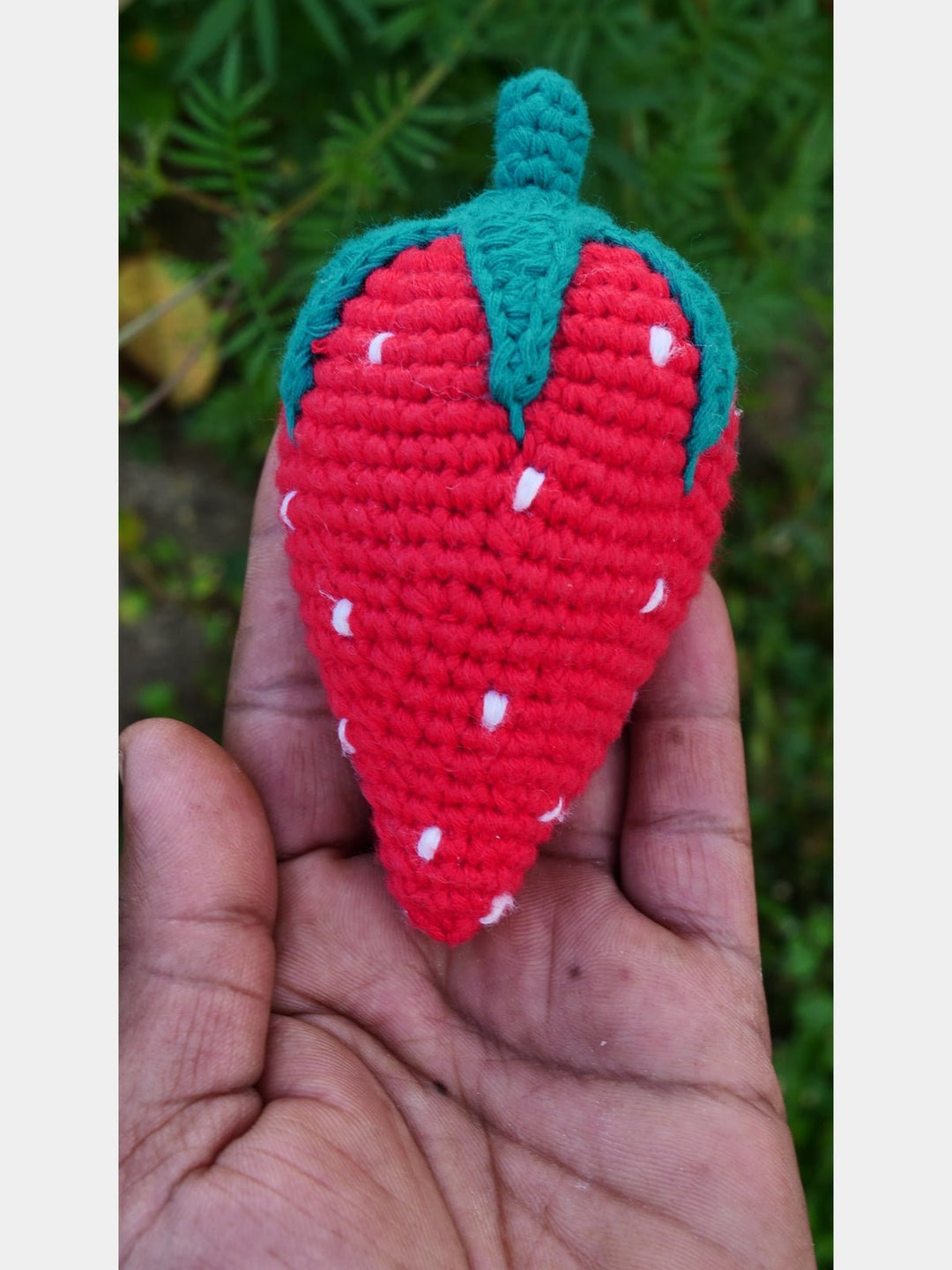 Toys & GamesStrawberry Red Green WhiteHimalayan Blooms IndiaFlourish Planet