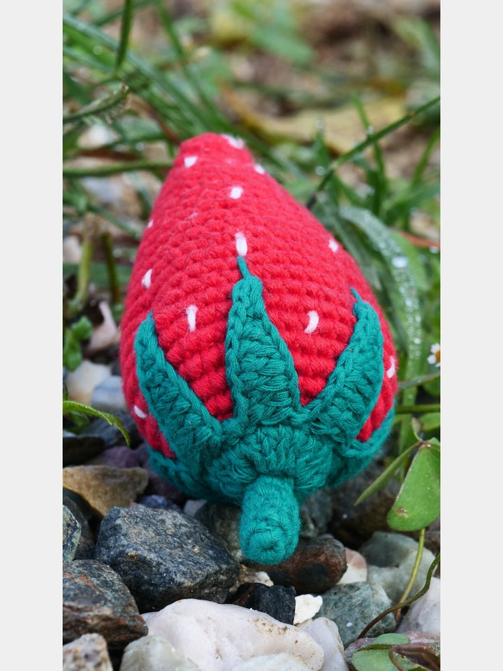 Toys & GamesStrawberry Red Green WhiteHimalayan Blooms IndiaFlourish Planet