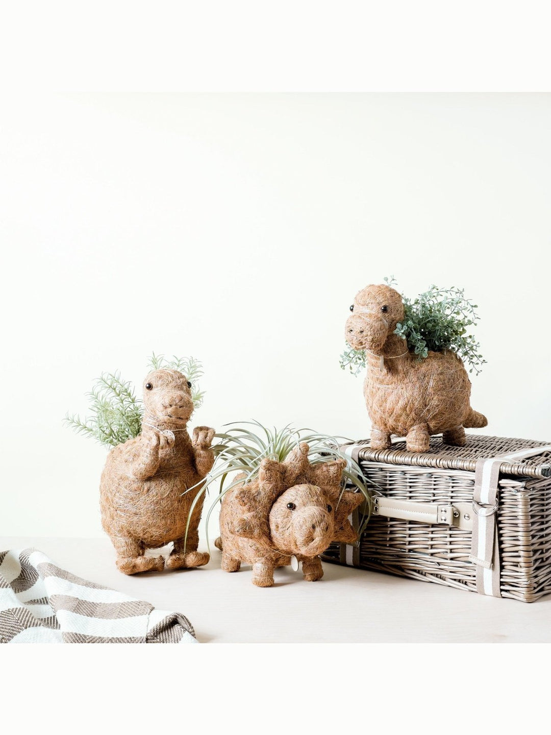 Home DecorT-Rex Planter - Coco Coir Pots | LIKHÂLIKHÂ