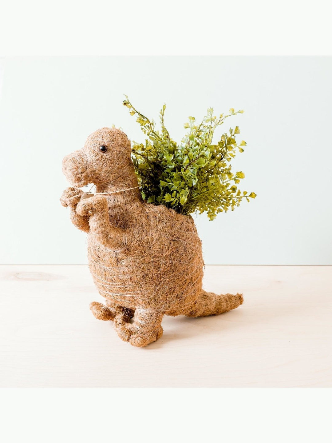 Home DecorT-Rex Planter - Coco Coir Pots | LIKHÂLIKHÂ