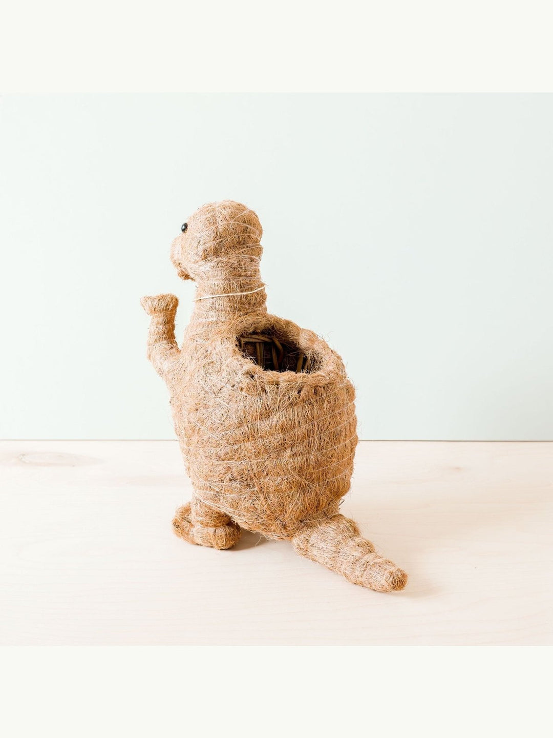 Home DecorT-Rex Planter - Coco Coir Pots | LIKHÂLIKHÂ