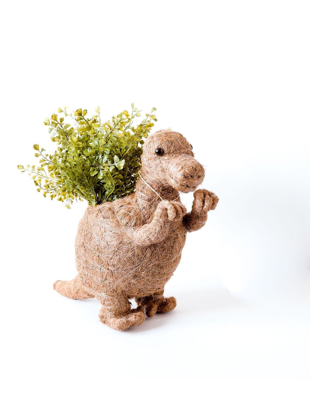 Home DecorT-Rex Planter - Coco Coir Pots | LIKHÂLIKHÂ