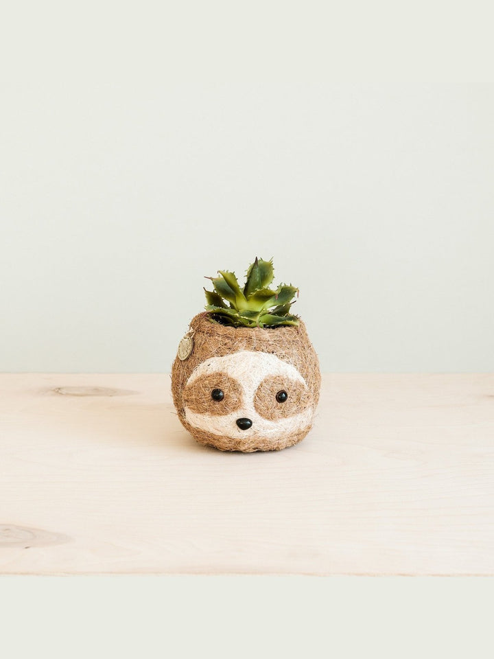 Home DecorTwo-tone Sloth Coco Coir Planter - Handmade Planters | LIKHÂLIKHÂ