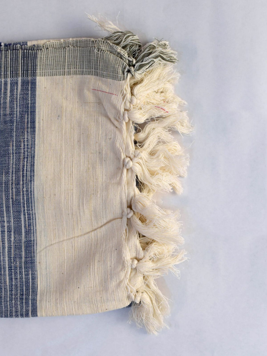 Bed and LivingAmber Charkha Cotton Throw White and BlueBihart