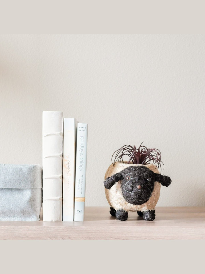 Home DecorBaby Sheep Planter - Coco Coir PotsLIKHÂ