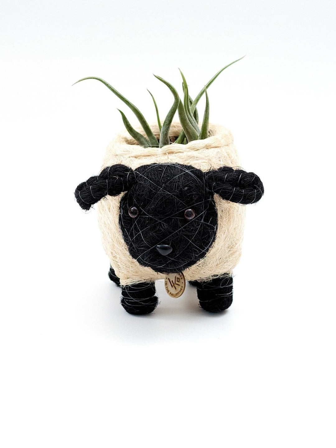 Home DecorBaby Sheep Planter - Coco Coir PotsLIKHÂ